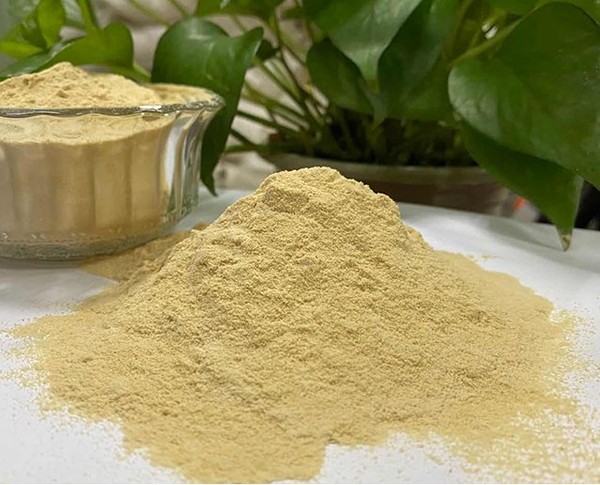 Tea Saponin powder manufacturer Tea Saponin powder manufacturer